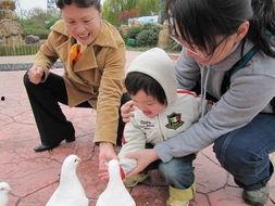 娱乐吃瓜报道怎么写的,吃瓜群众热议的幕后故事