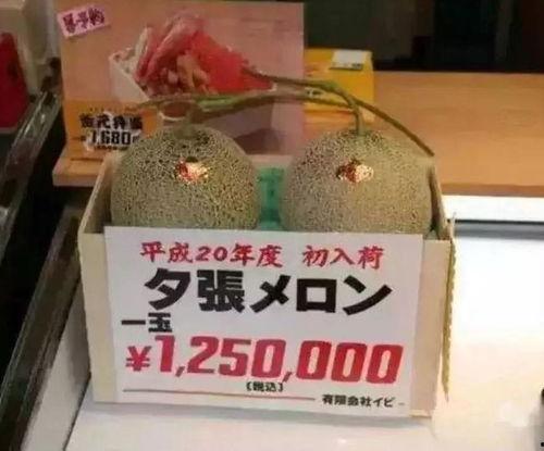 娱乐区吃大瓜,明星隐私曝光,精彩瞬间回顾